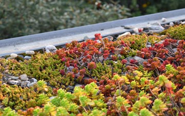 the cost of Lower Falkenham green roof installation