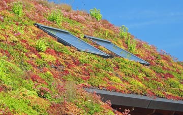 Lower Falkenham living roof systems