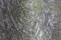 Lower Falkenham fibreglass roof work